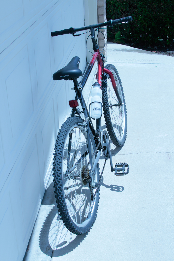 Nishiki Bravo Bicycle EBTH