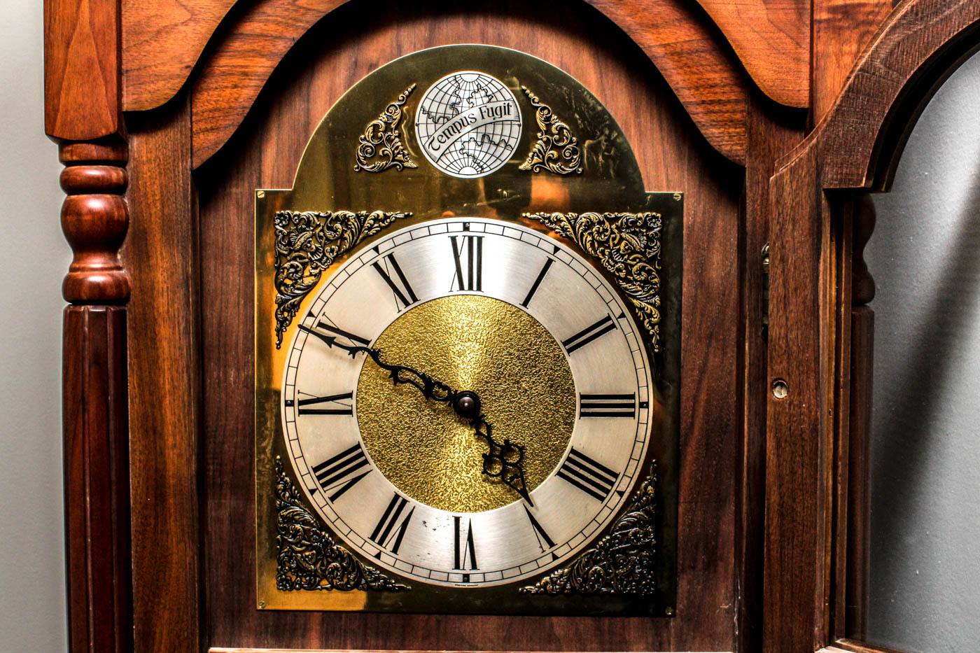 Tempus Fugit Grandfather Clock EBTH