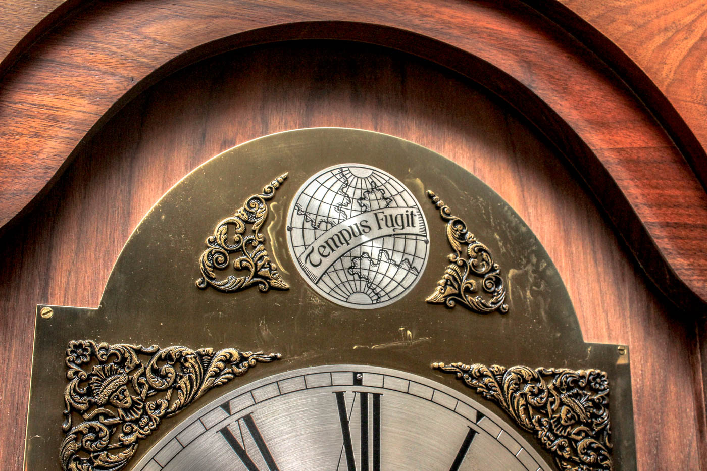 Tempus Fugit Grandfather Clock EBTH