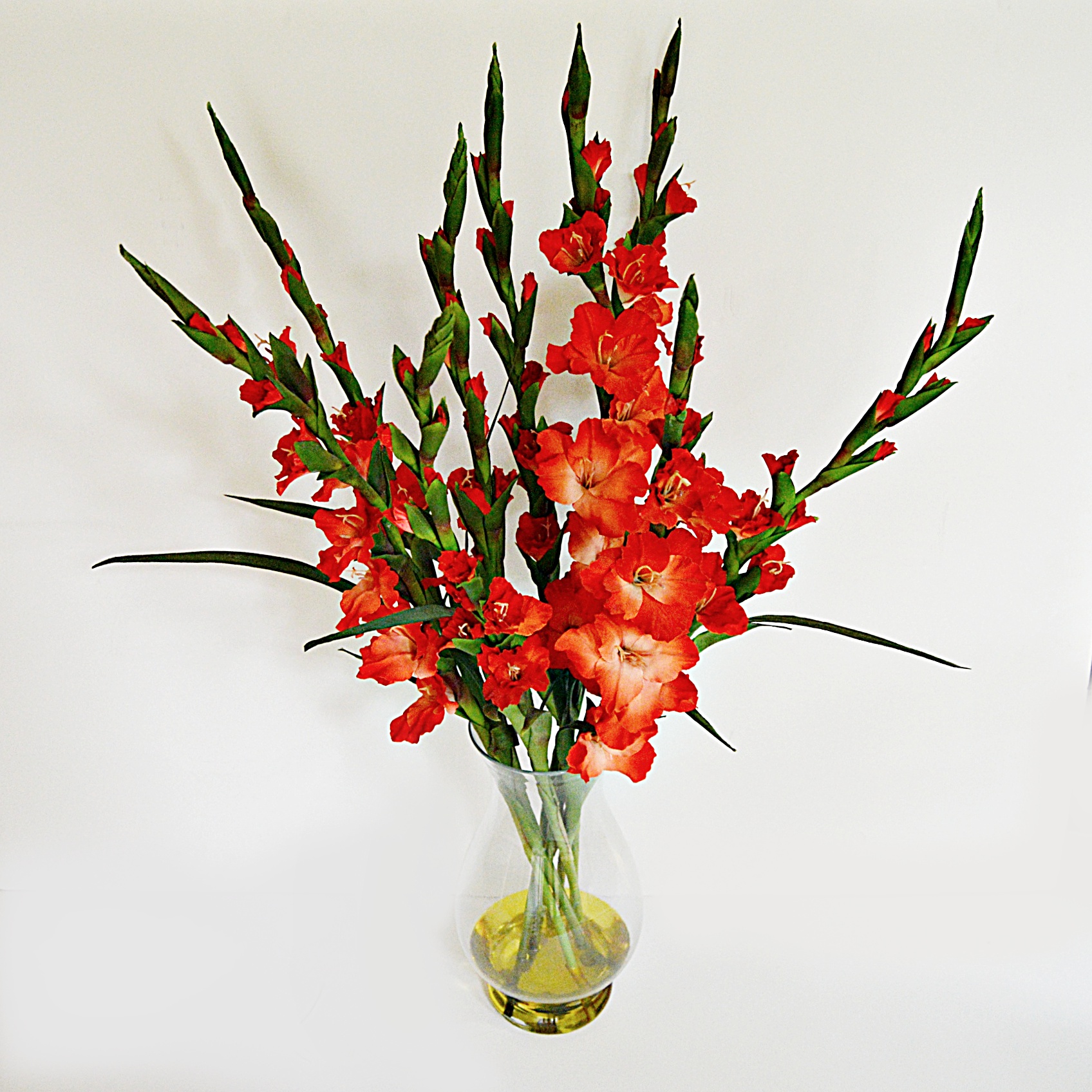Red Gladiolus Arrangement EBTH
