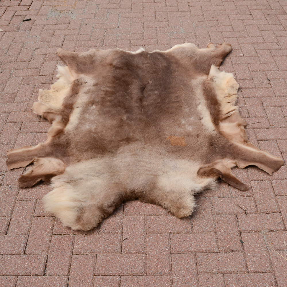 Alaskan Elk Hide Rug EBTH