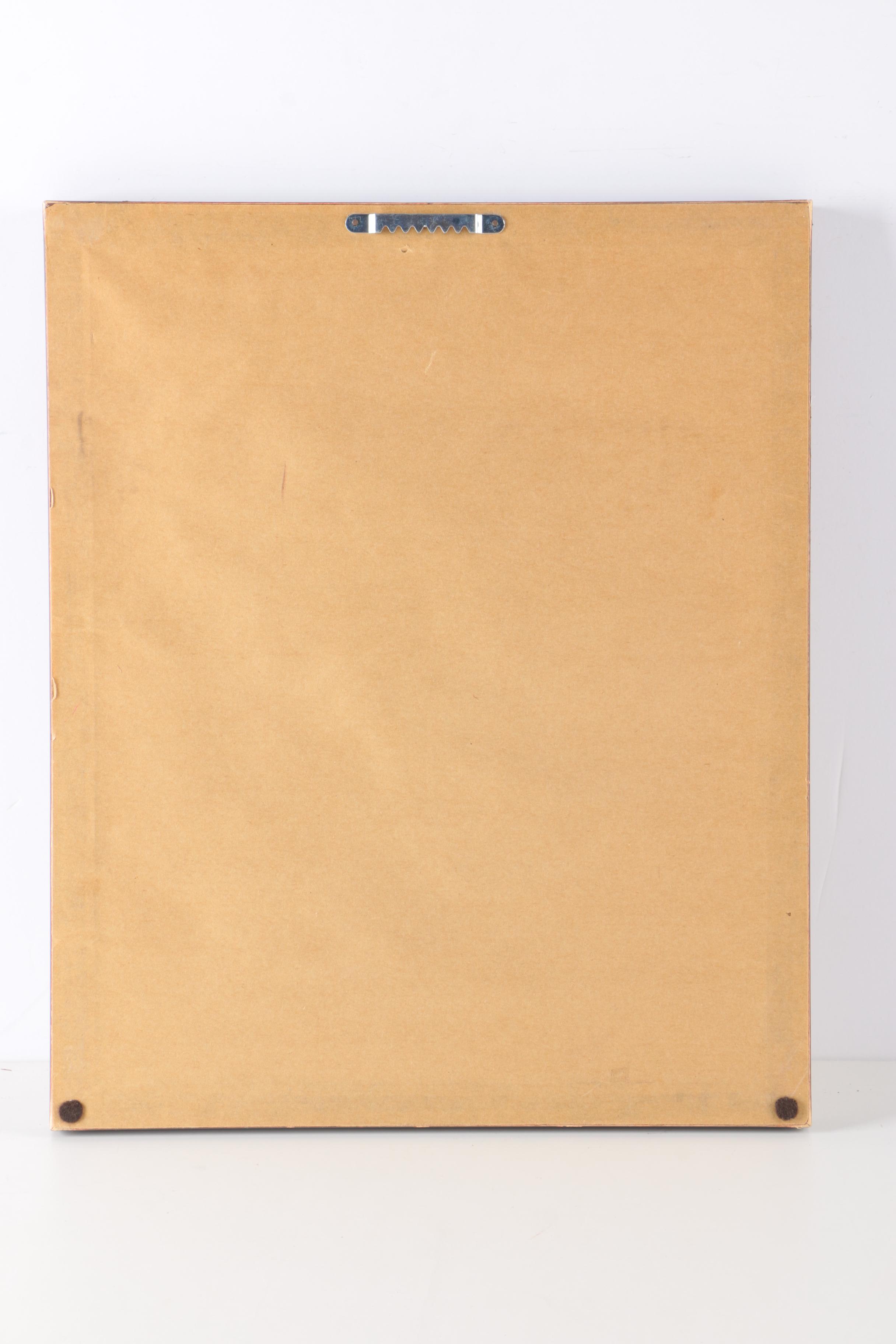 Offset Lithographs After John Gould Bird Prints EBTH