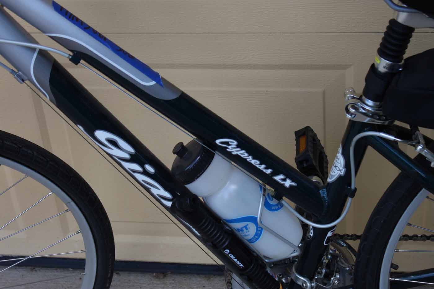 giant cypress womens