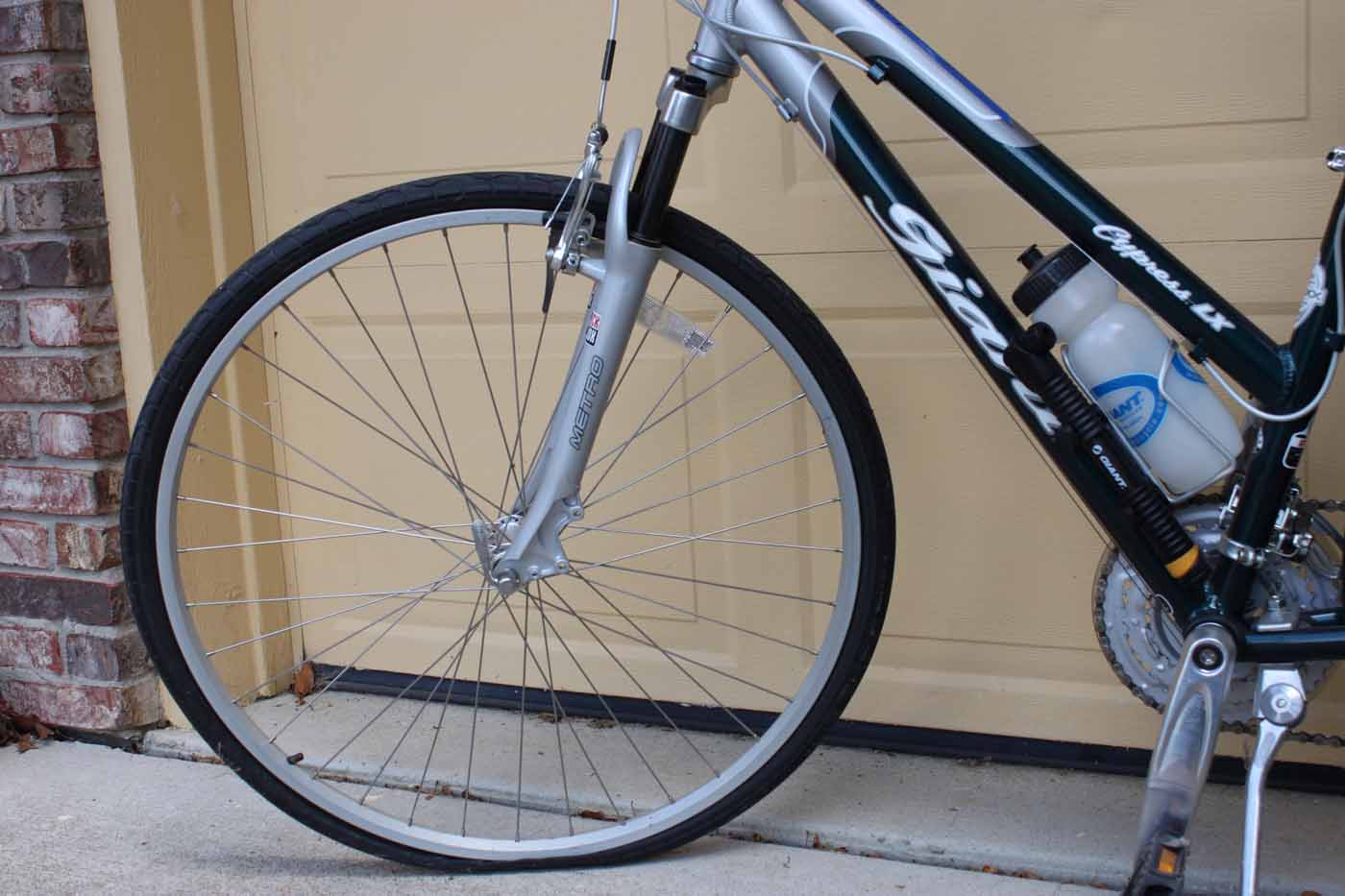 giant cypress womens