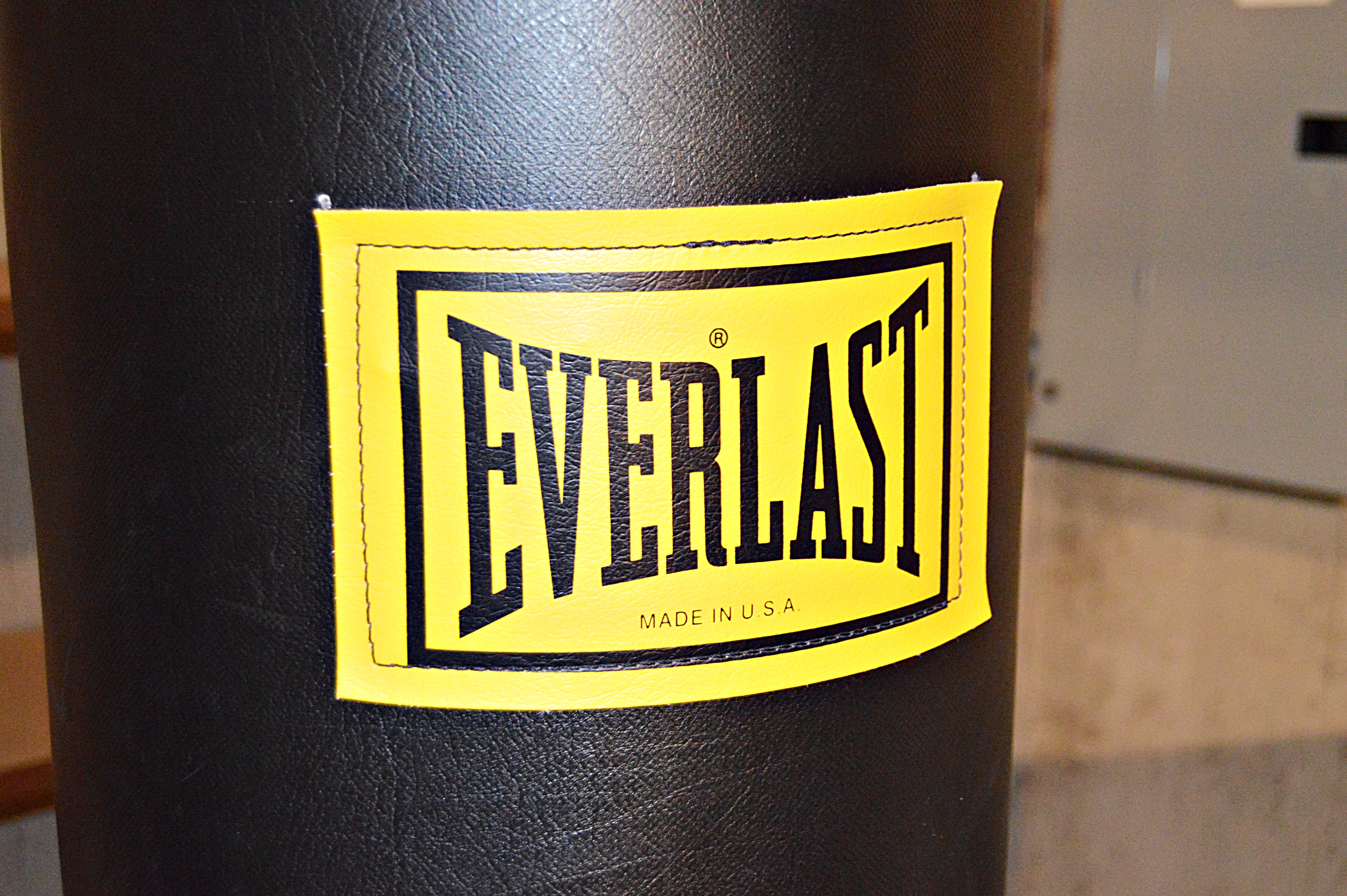 Everlast Punching Bag and Boxing Gloves EBTH
