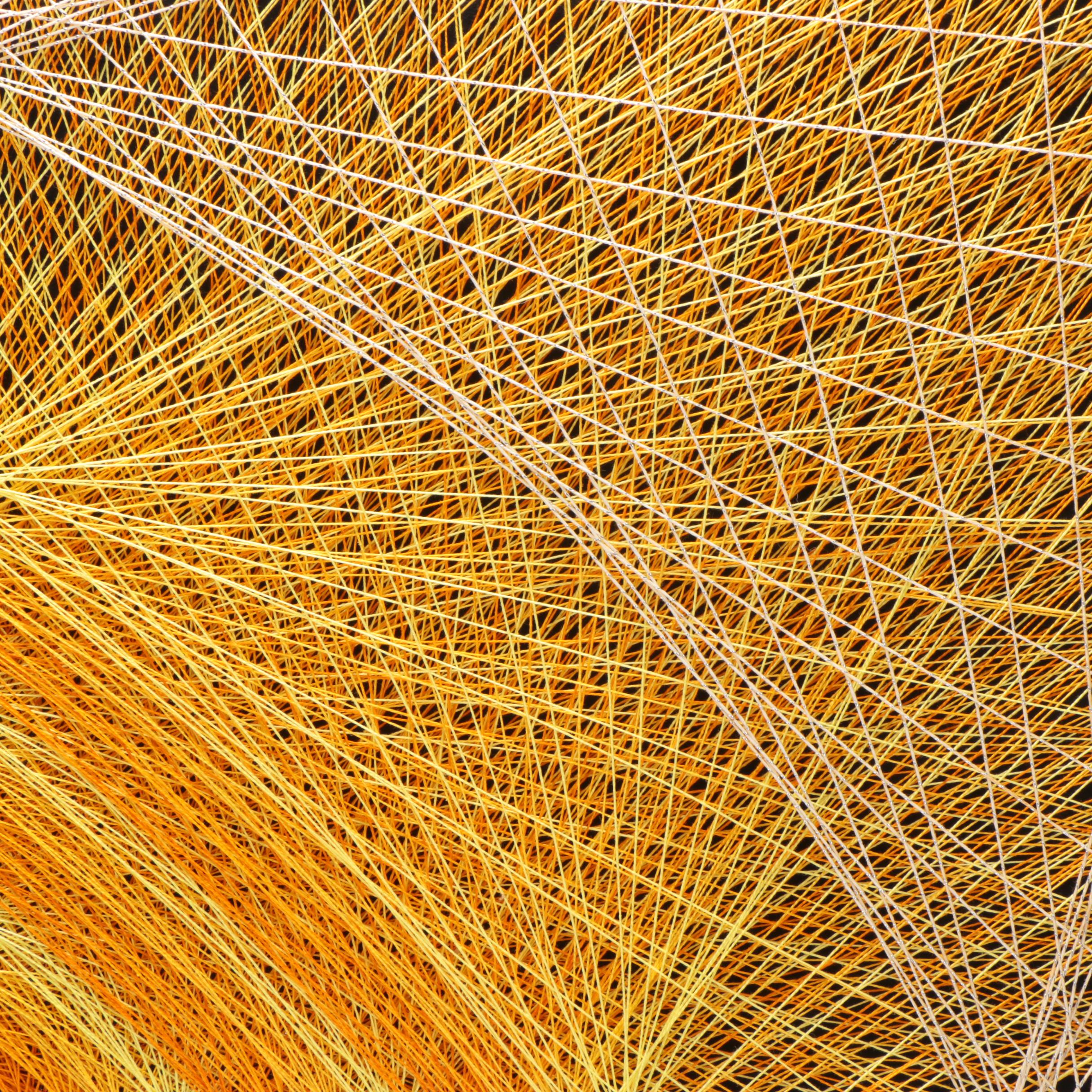 Abstract String Artworks On Board | EBTH