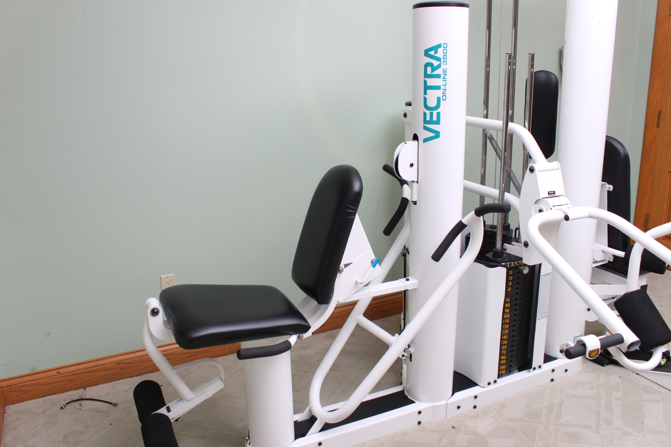 Vectra Online 3800 Weight Set EBTH