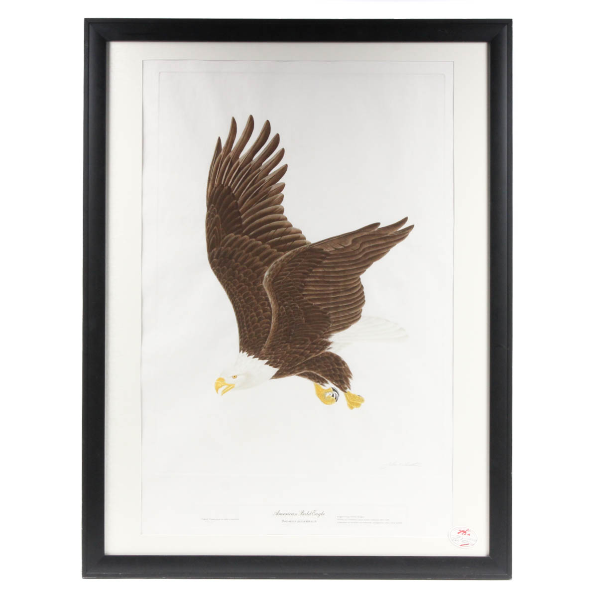 John A. Ruthven Limited Edition HandColored Engraving "Bald Eagle" EBTH