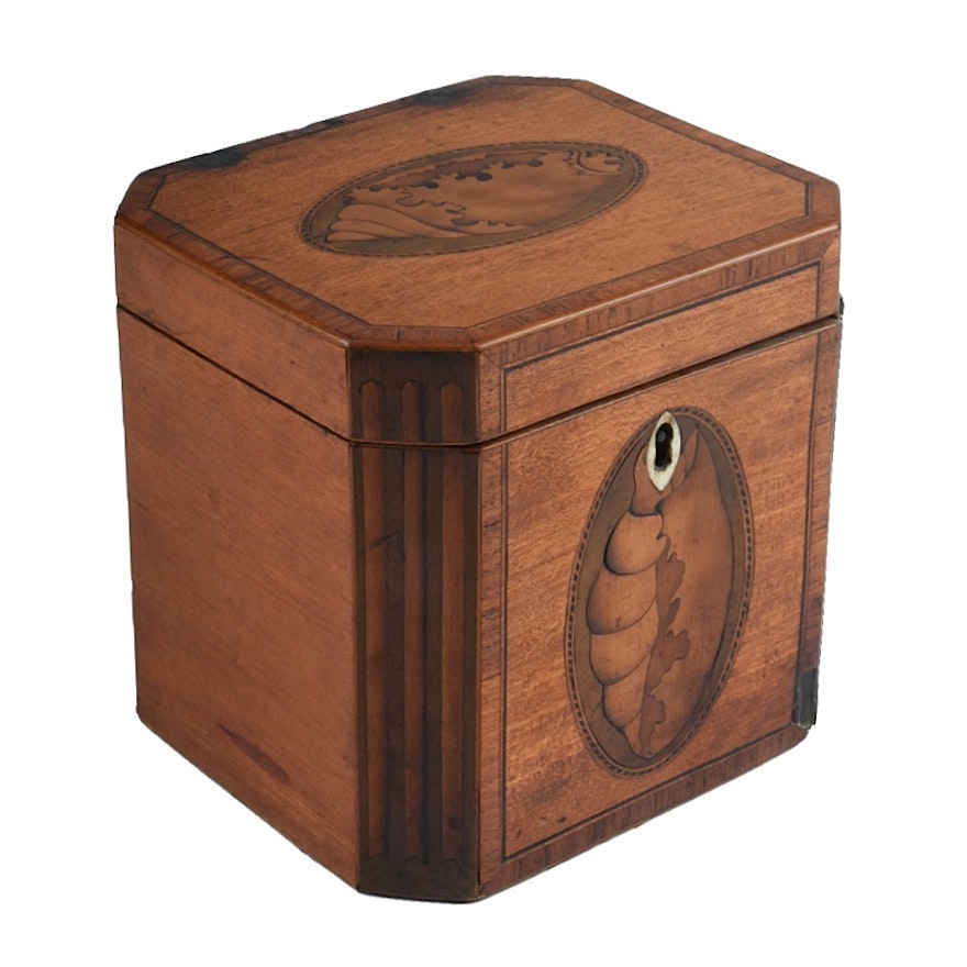 19th-Century English Tea Caddy with Shell Form Marquetry Inlay