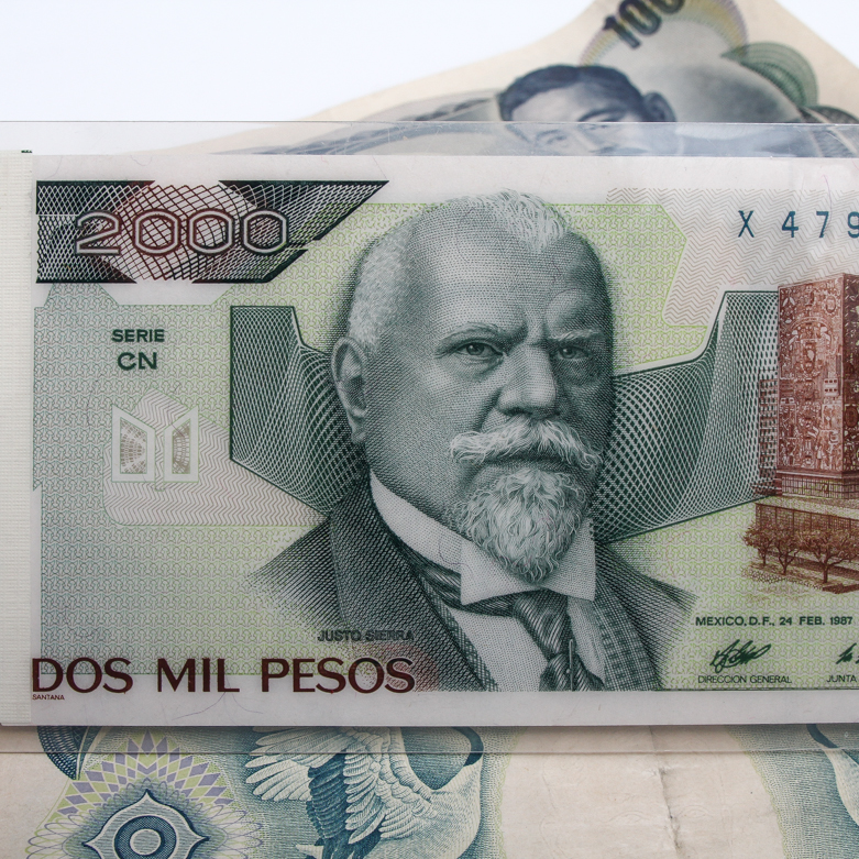 Collection of Foreign Currency EBTH