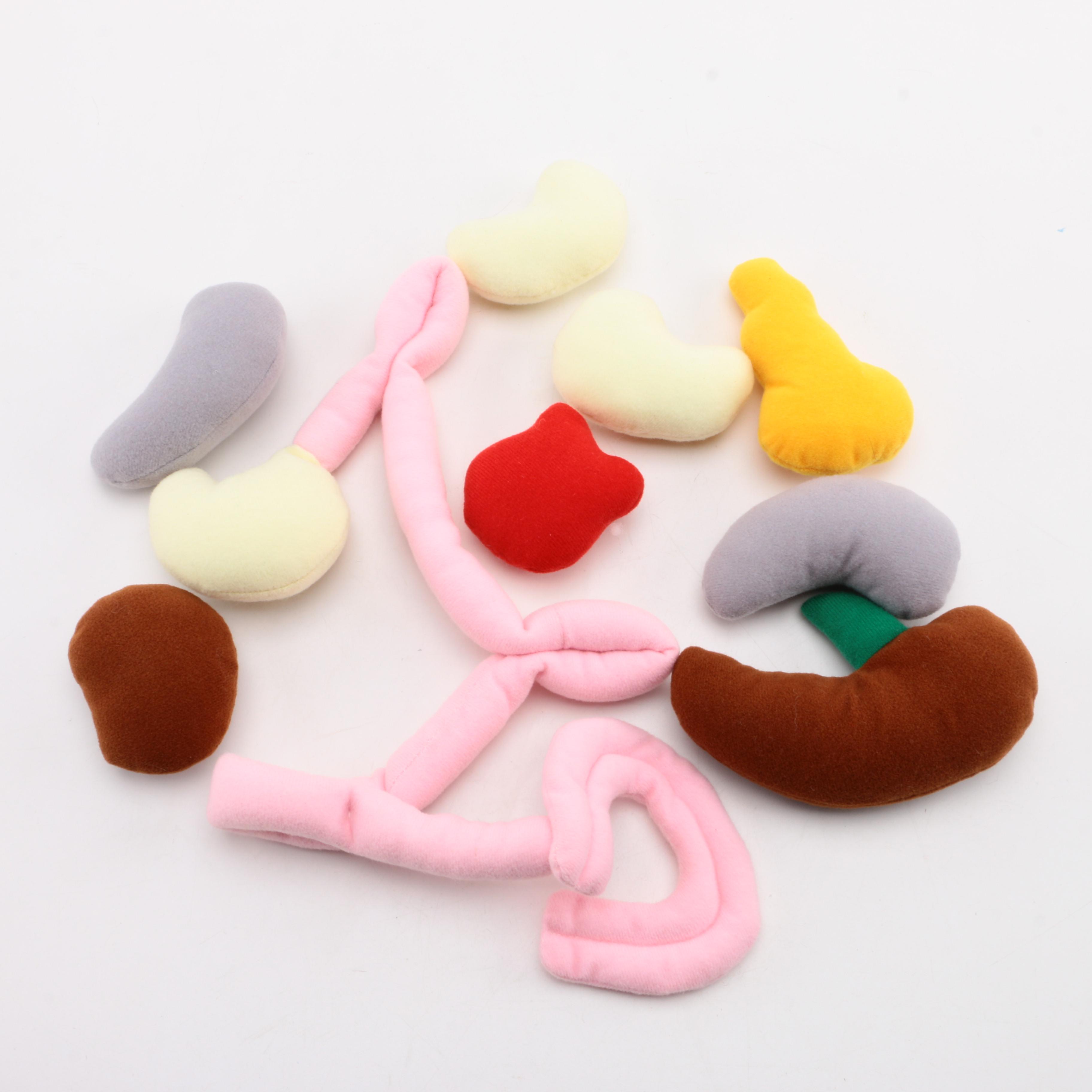 "Gus Gutz" Anatomical Educational Plush Toy EBTH