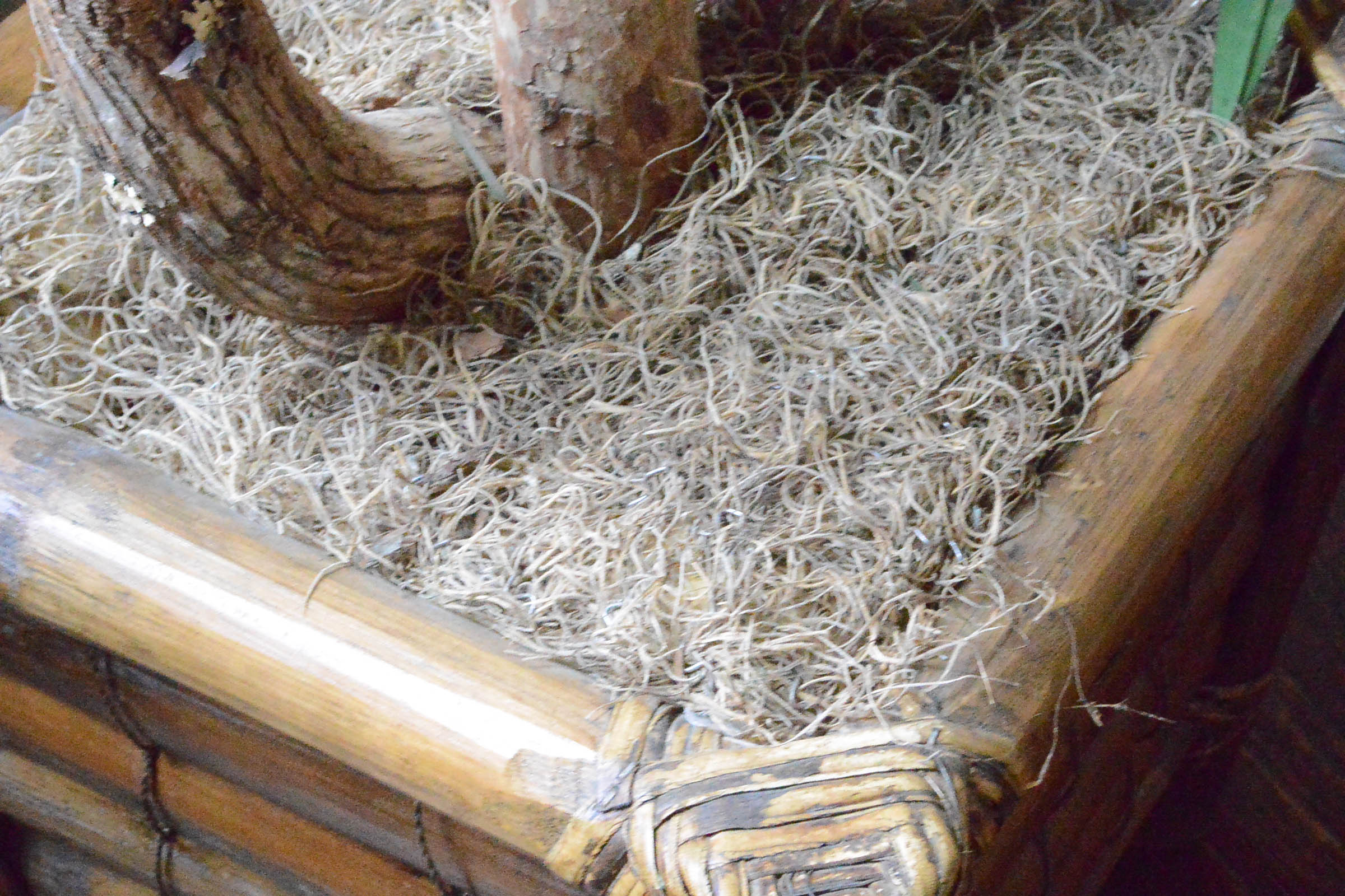 Faux Decorative Palm Tree EBTH