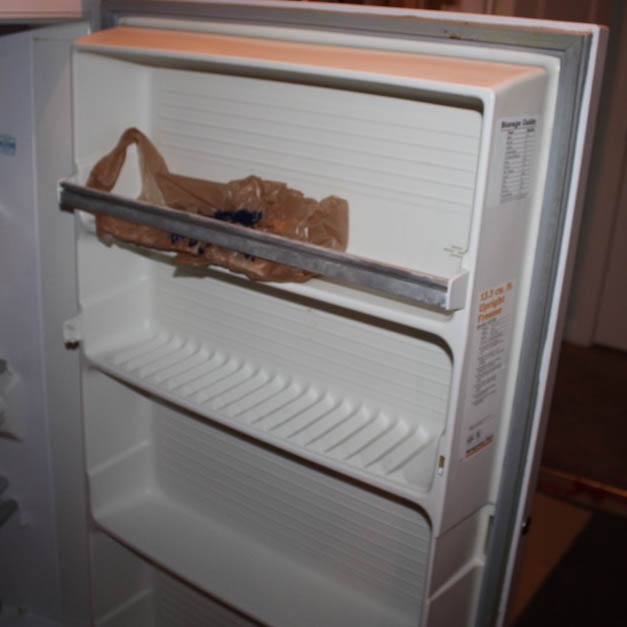 Vintage 13.3 cu. ft. Montgomery Ward Upright Freezer EBTH