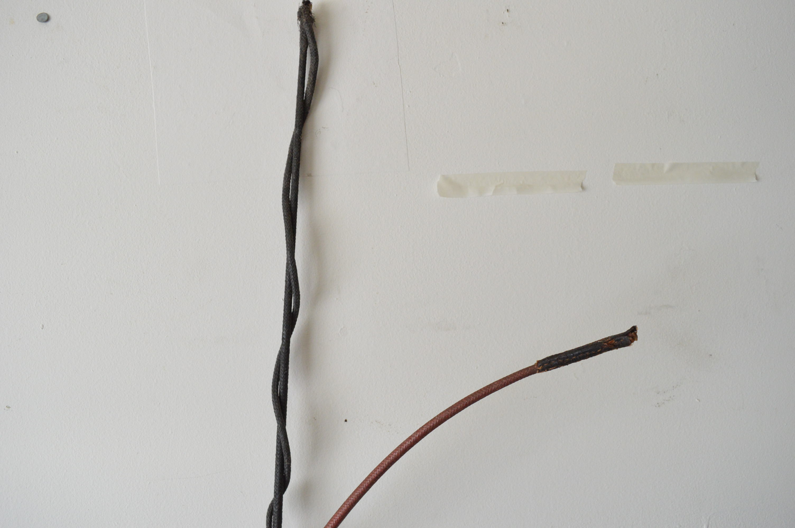 Vintage Buggy Whips EBTH