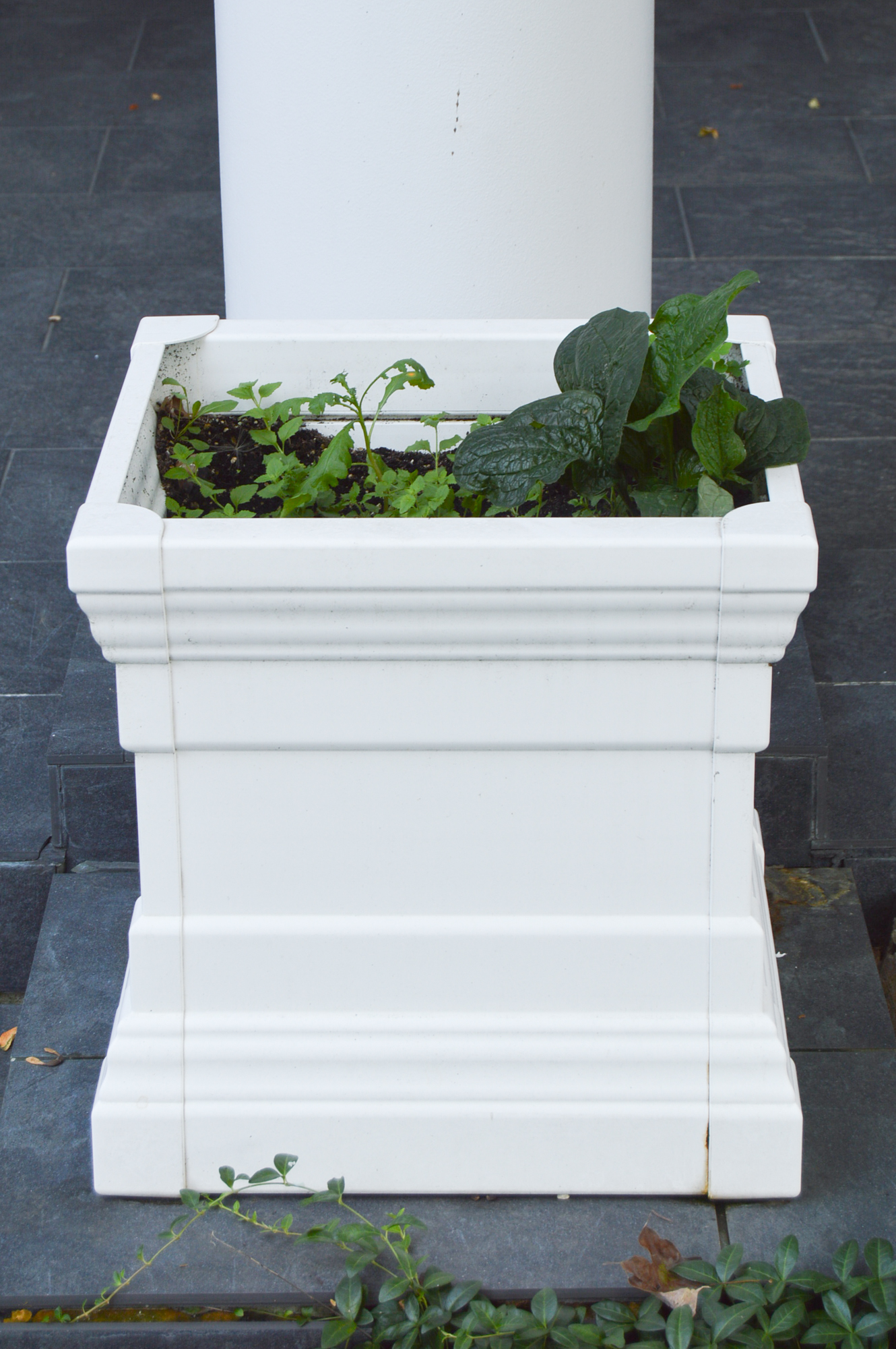 Large Outdoor Resin Square Planters | EBTH