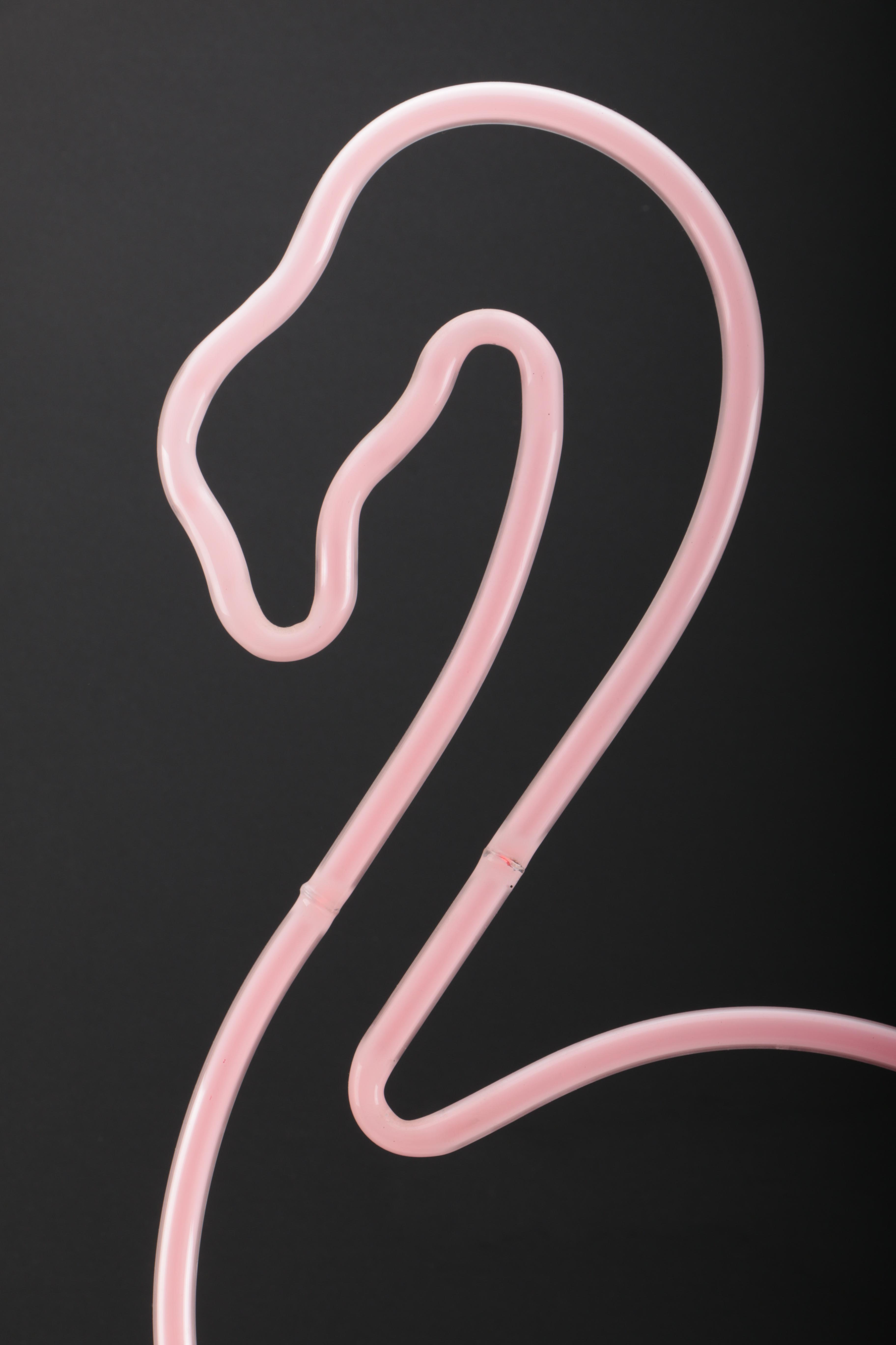 Neon Pink Flamingo Light | EBTH