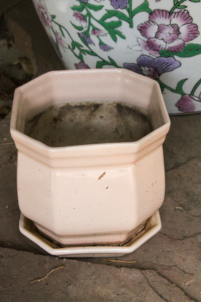 Ceramic Planters and Stand EBTH