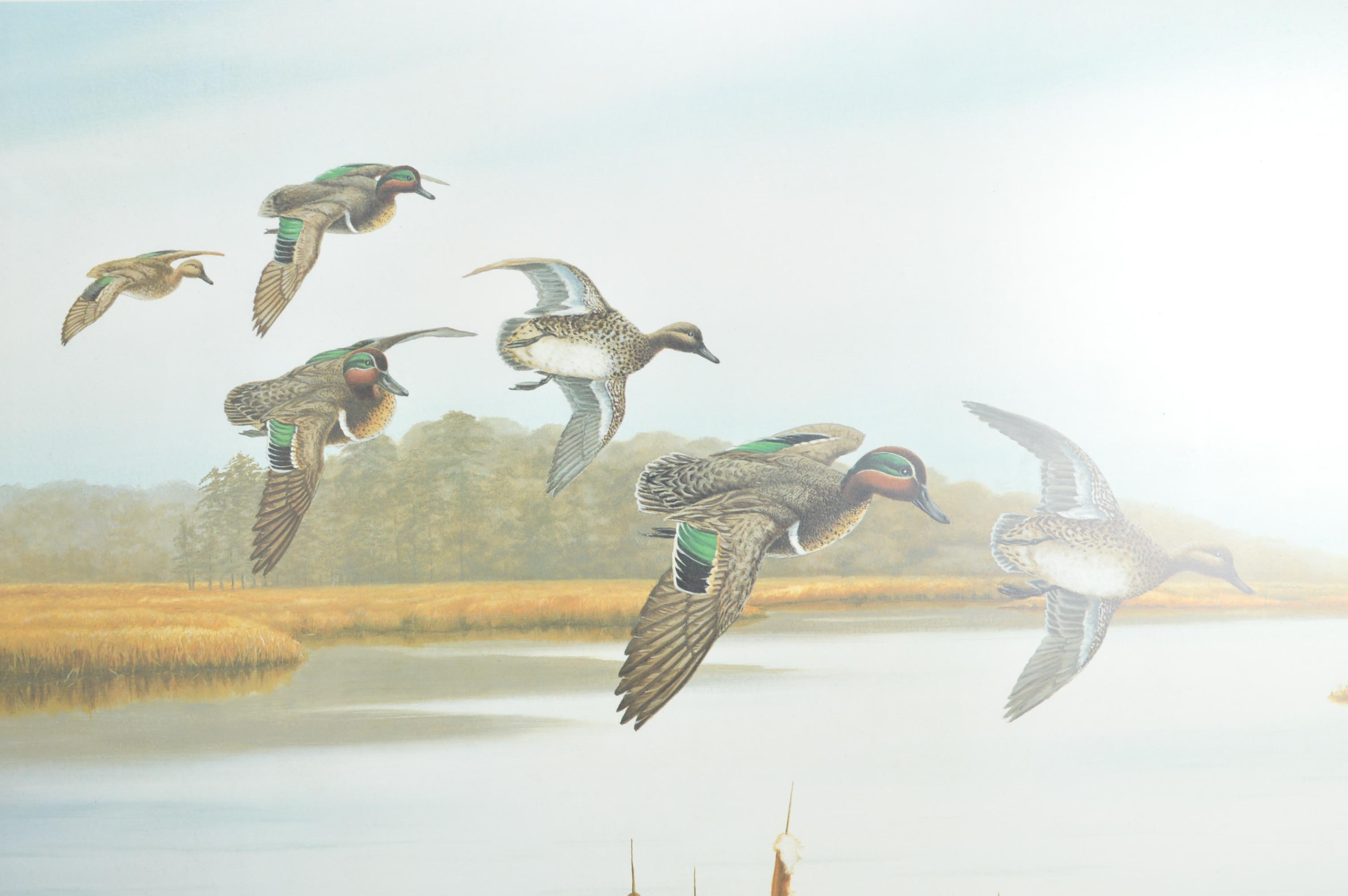 After Elton J. Louviere Signed Limited Edition Offset Lithograph "Teals