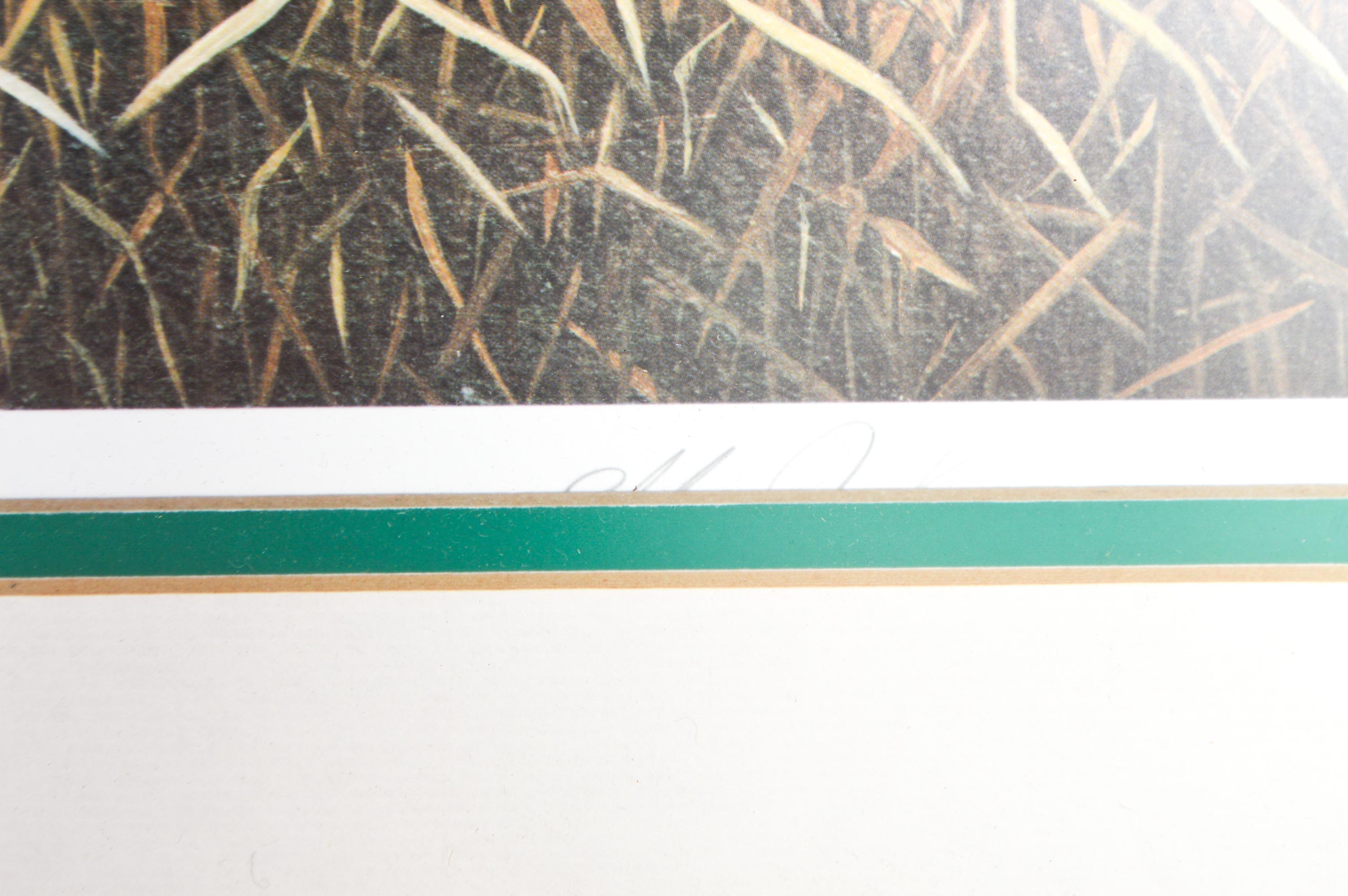 After Elton J. Louviere Signed Limited Edition Offset Lithograph "Teals