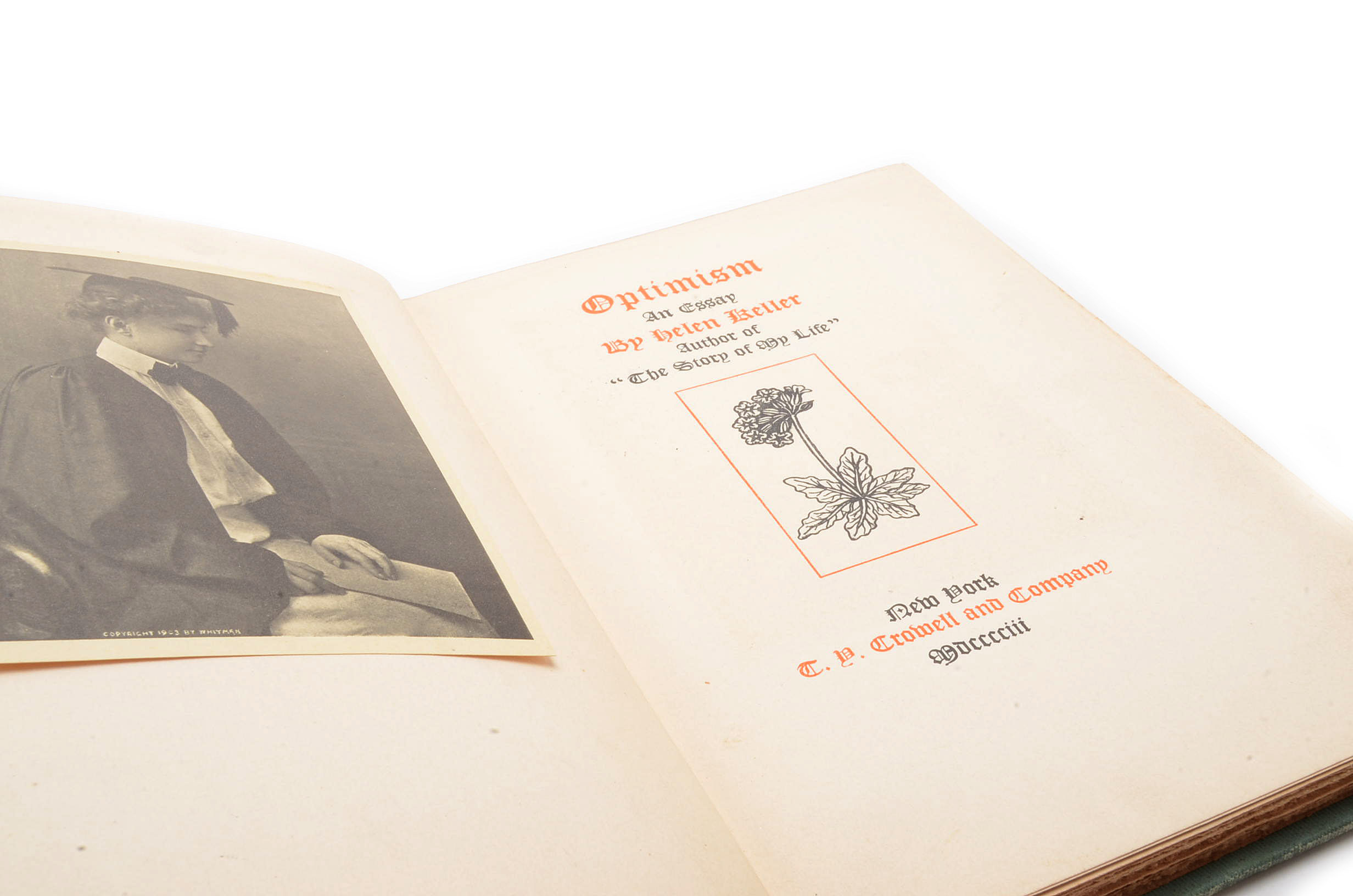 Etbh essay 03 picture