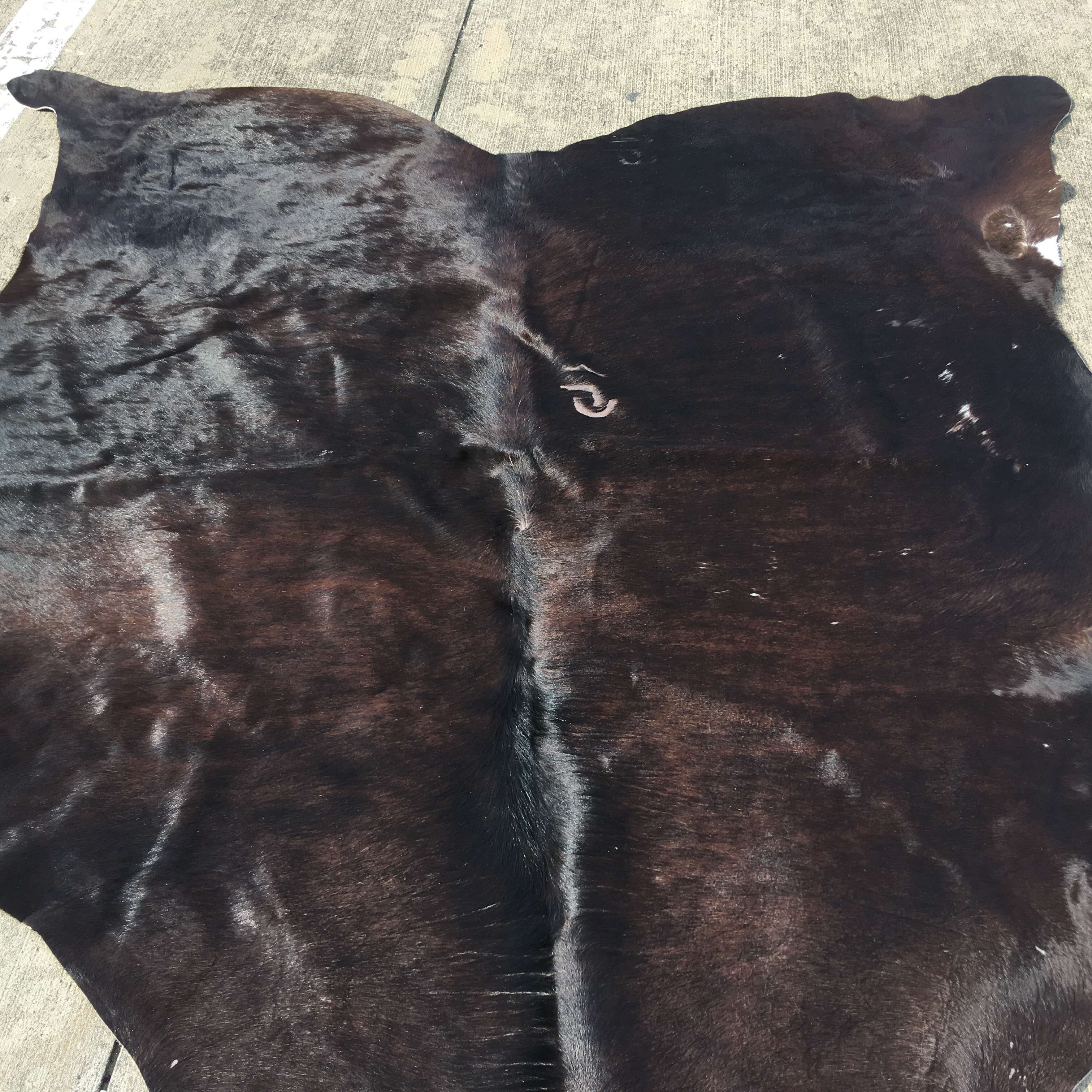 Ikea Koldby Cowhide Area Rug EBTH