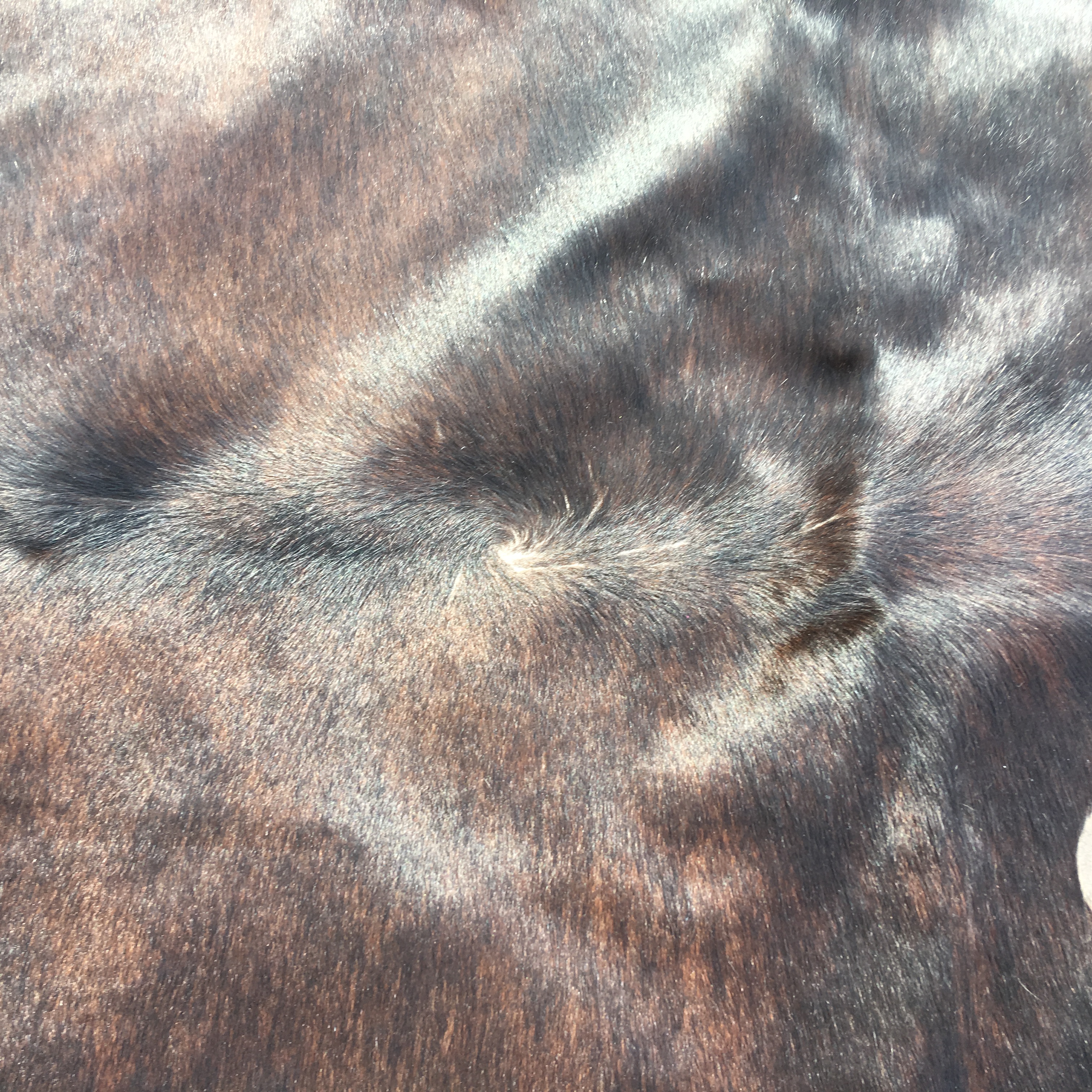 Ikea Koldby Cowhide Area Rug EBTH