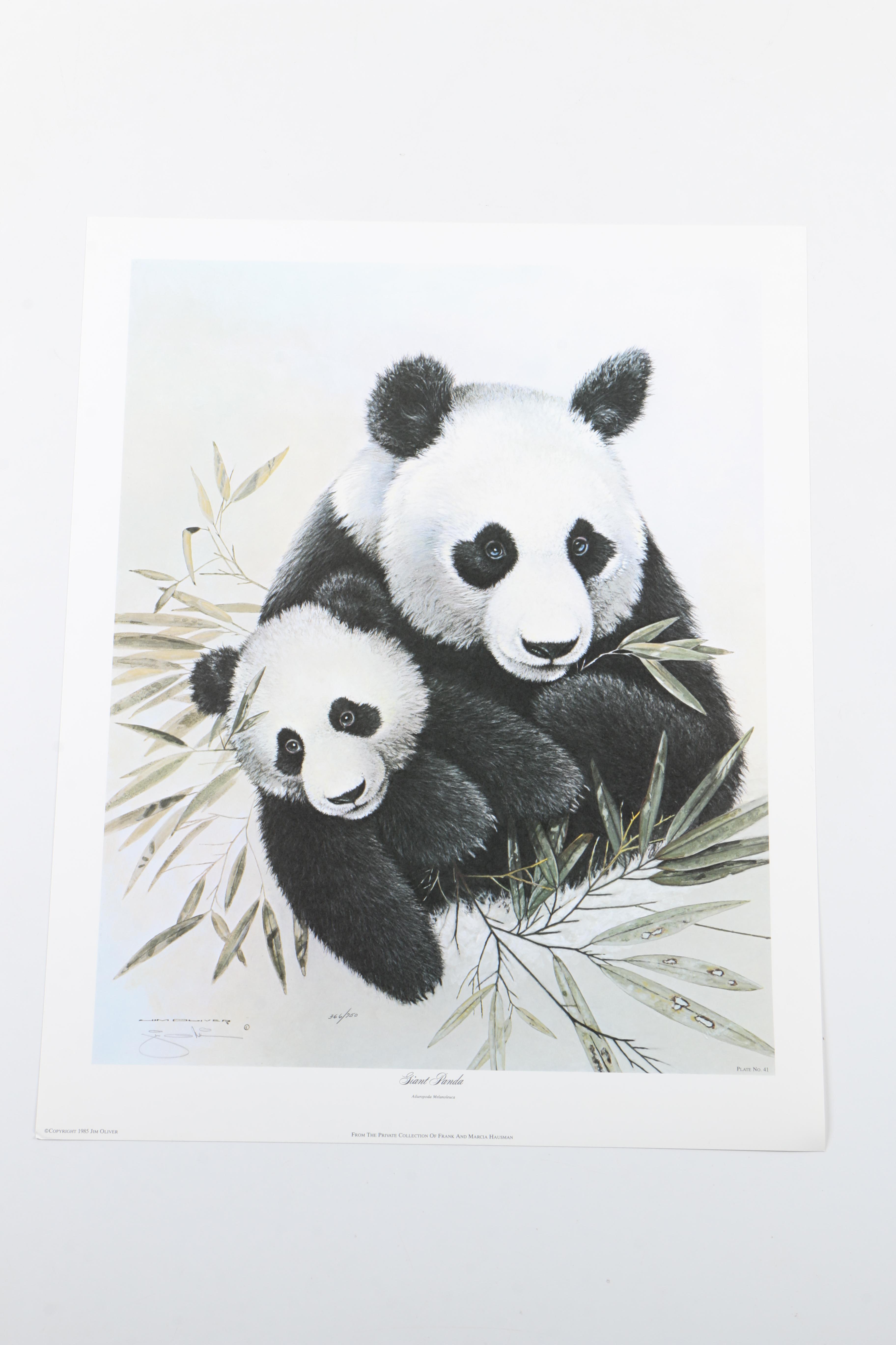 Jim Oliver Limited Edition Offset Lithograph Wildlife Prints EBTH   1504009191519 679a94af98e6a41d9a55887583f92abd12546b13b8c6c336d0707e0154be256d.JPG