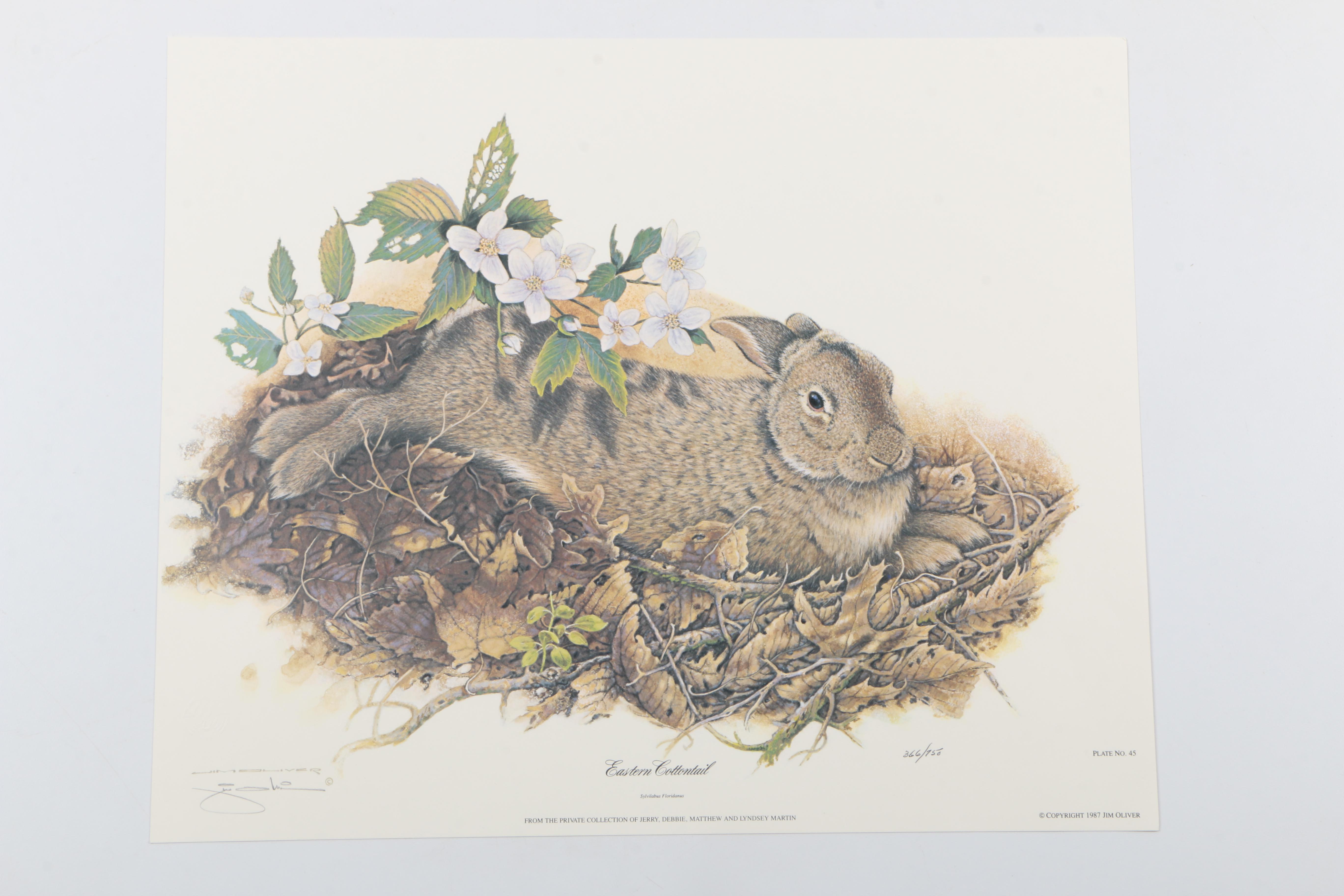 Jim Oliver Limited Edition Offset Lithographs Of Wildlife EBTH   1504010955623 D66591e56c39022a4138c891f8b2af59efef6ecdc59c38cf339e7e30934a8d62.JPG