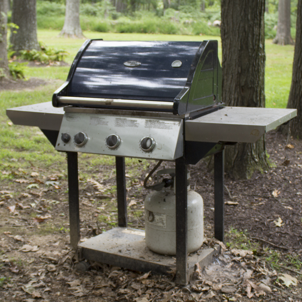 Vermont Castings Outdoor Gas Grill EBTH