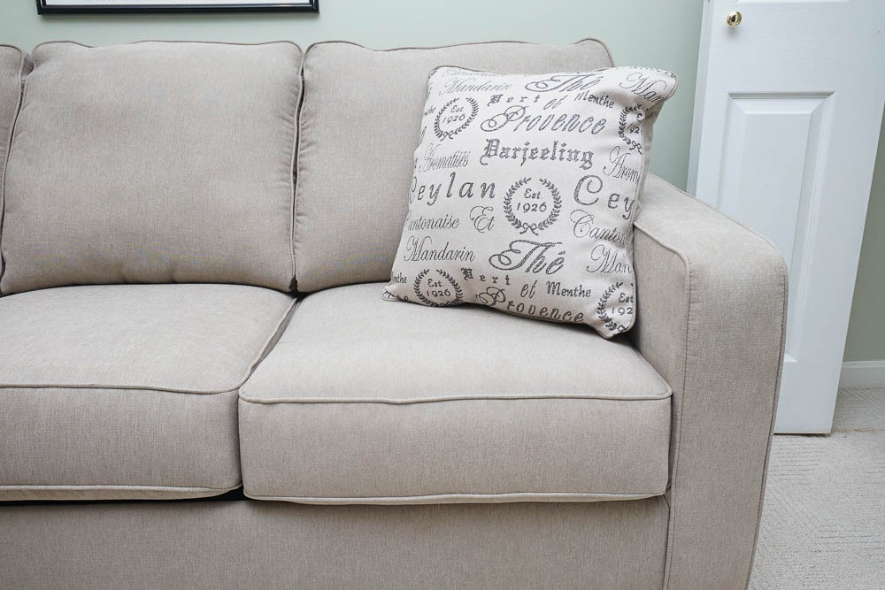 Contemporary Style "Tupelo" Sleeper Sofa by Leggett & Platt EBTH