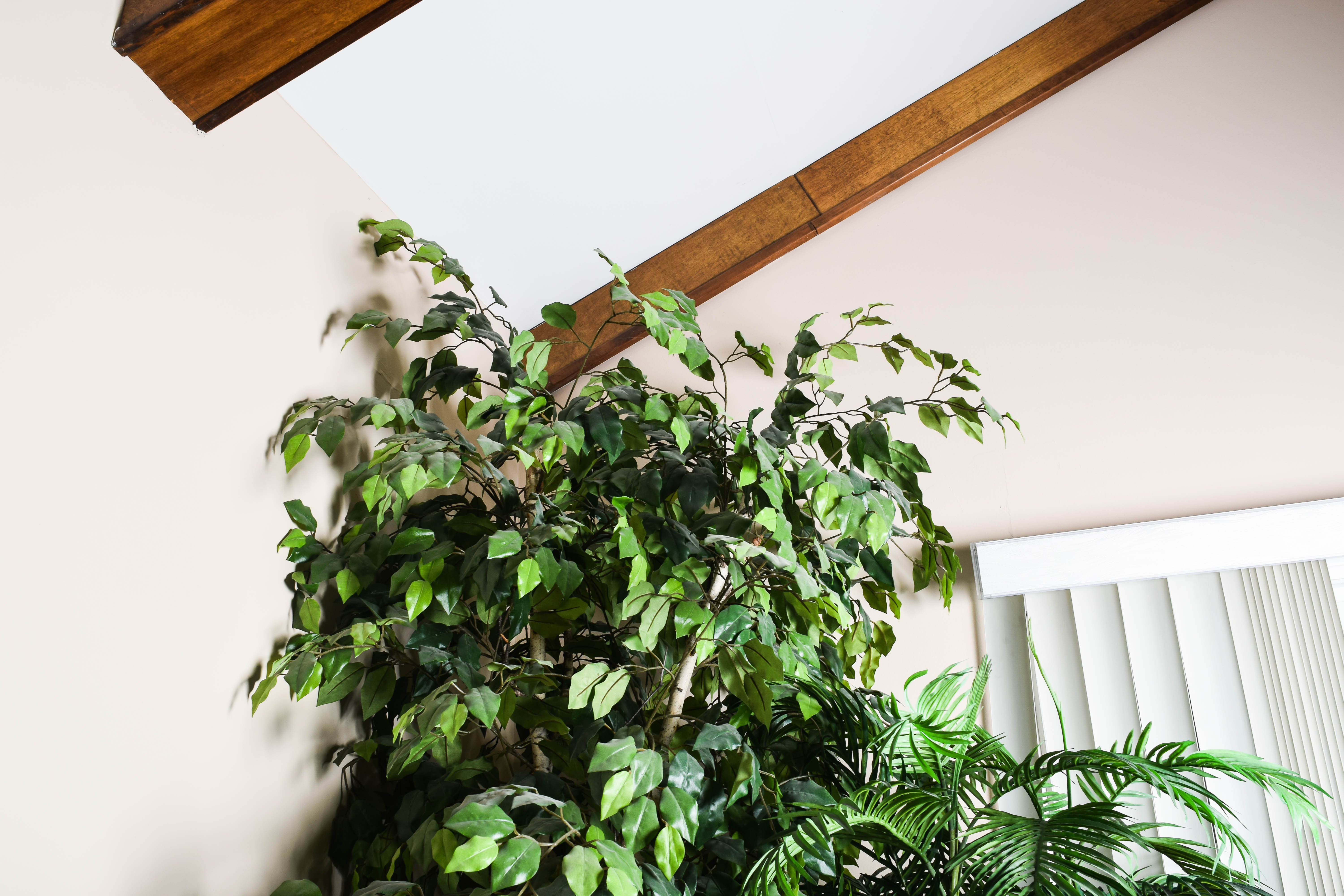 Pair of Large Faux House Plants EBTH