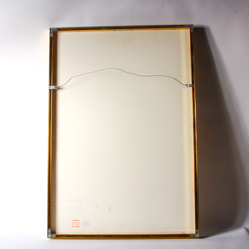 1993 Limited Edition Don Werner Print EBTH