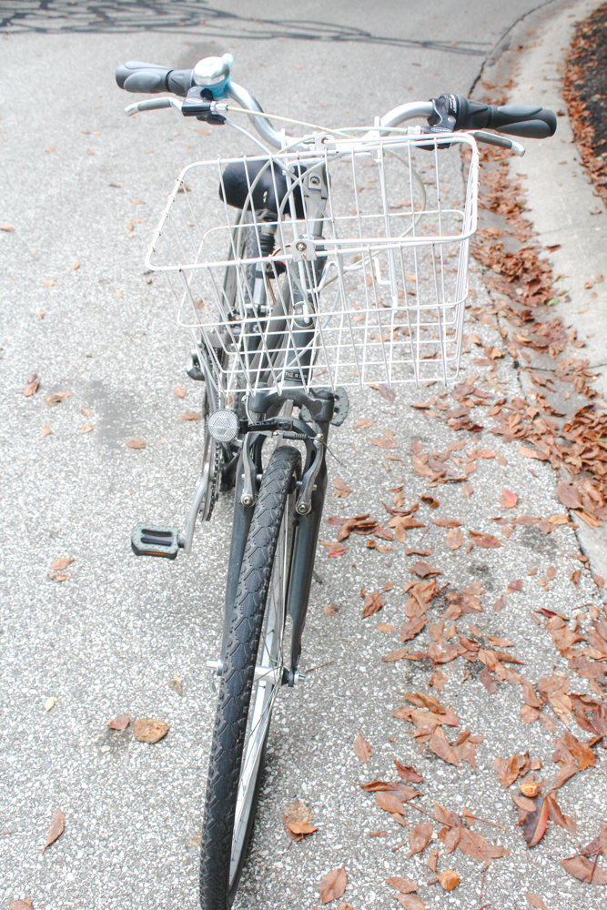 giant five point bike