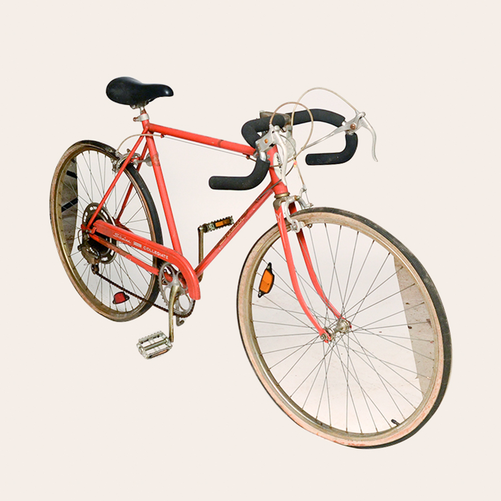 1973 schwinn collegiate online