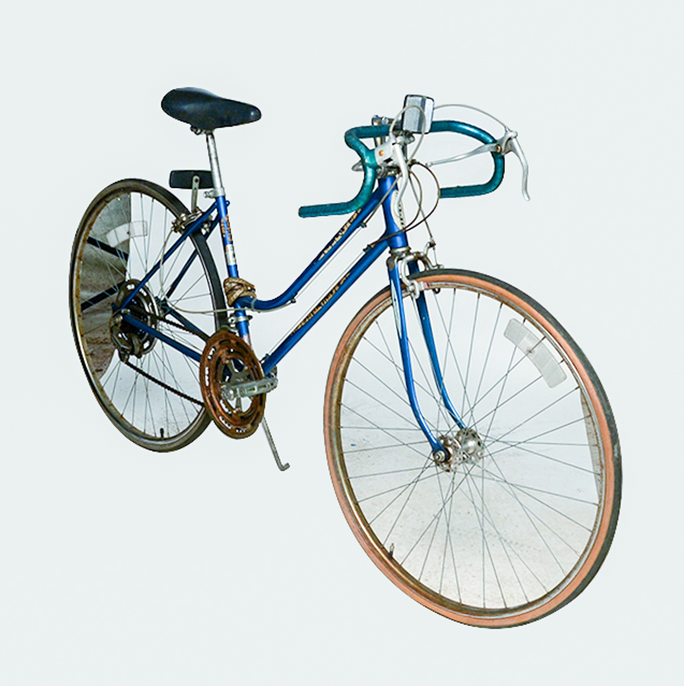 1970 schwinn varsity
