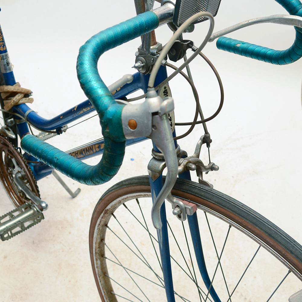 1970 schwinn varsity