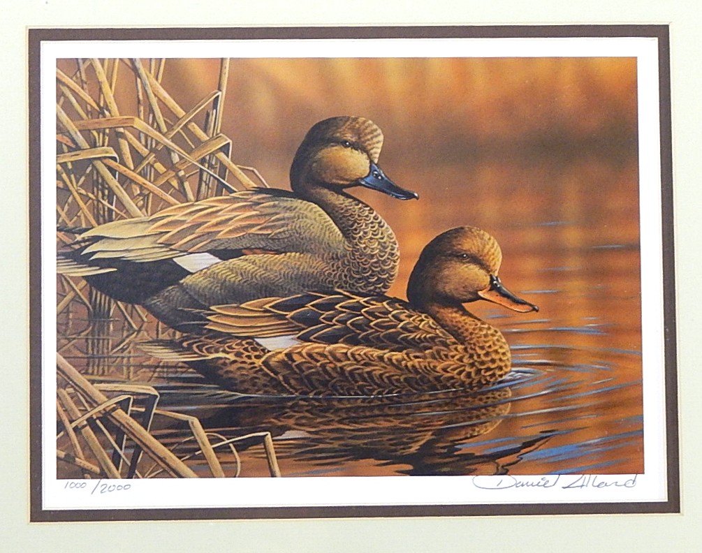 2013 Ducks Unlimited L/E Print Signed | EBTH