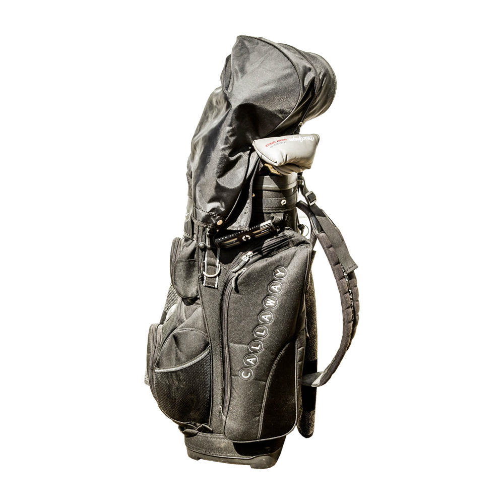 Callaway Golf Bag, Clubs, and Balls EBTH