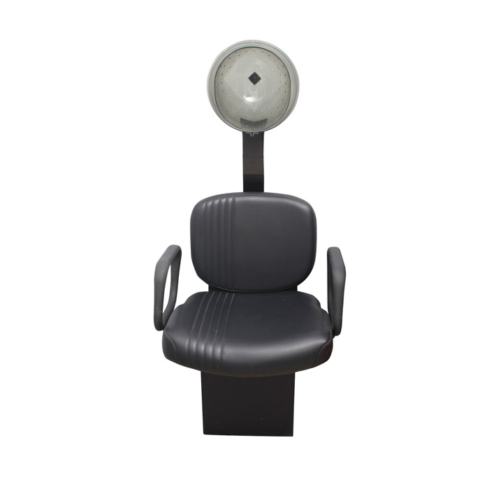 Belvedere First Lady Hair Dryer EBTH