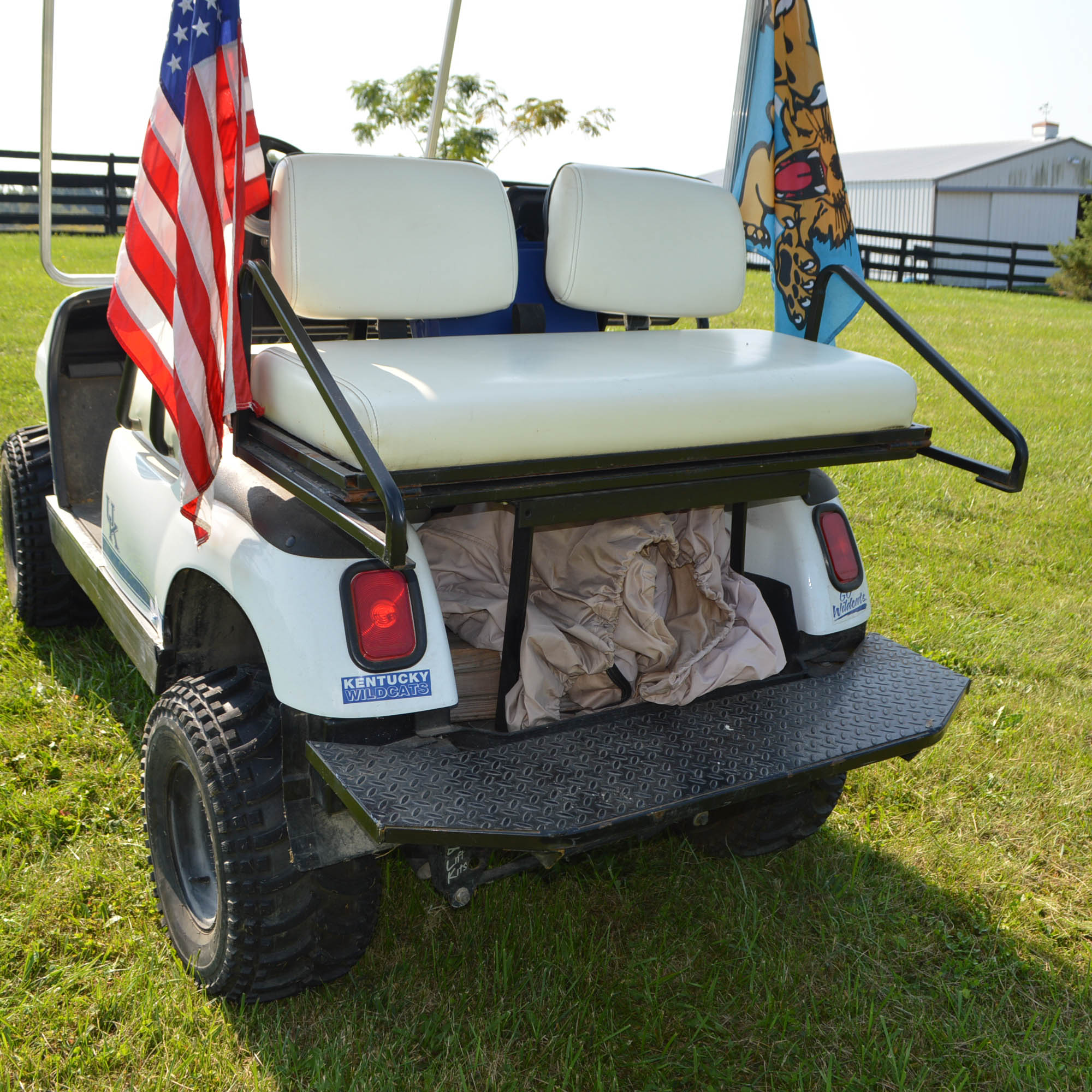 2000 Yamaha G19E University of Kentucky GasPowered Golf Cart EBTH