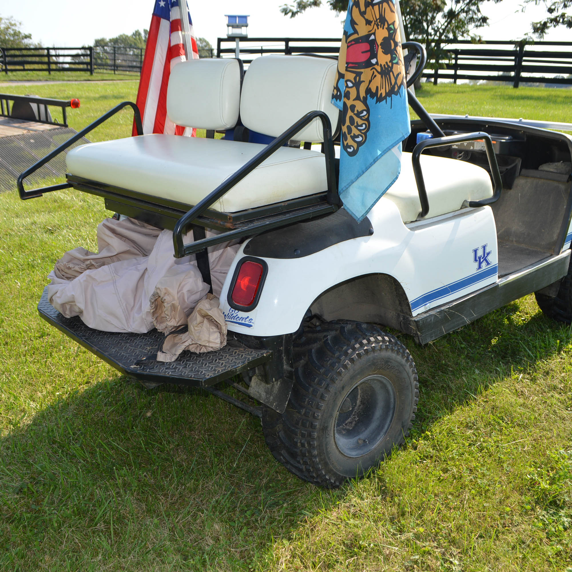 2000 Yamaha G19E University of Kentucky GasPowered Golf Cart EBTH