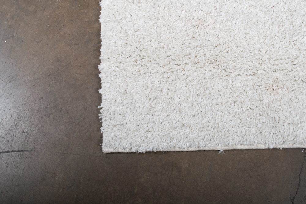 Threshold "Eyelash" Shag Area Rug EBTH