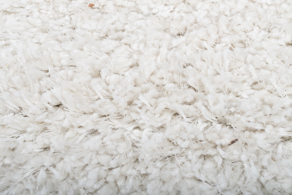 Threshold "Eyelash" Shag Area Rug EBTH