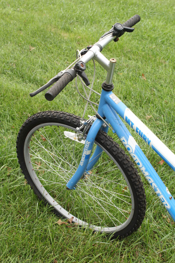 mountain fury roadmaster