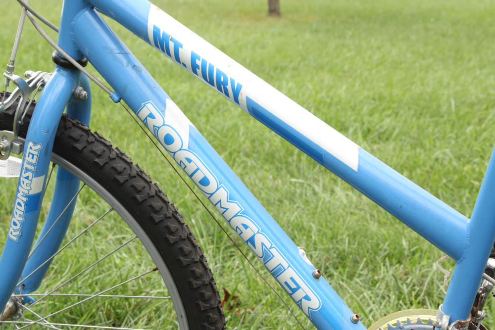 mountain fury roadmaster