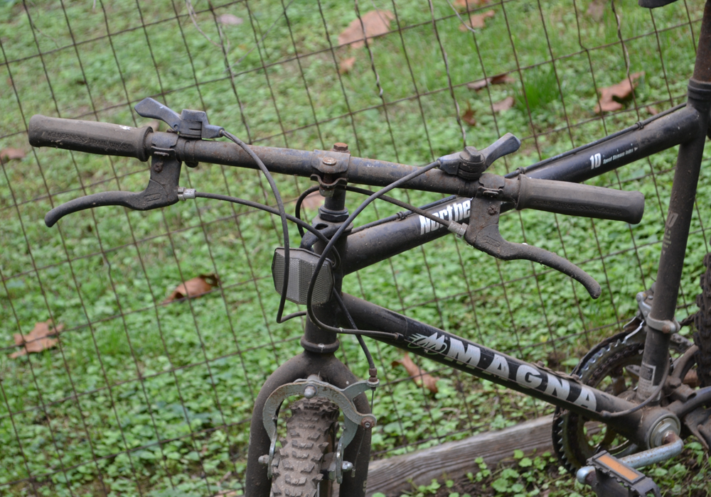 Magna Northern Ridge 10Speed Bicycle EBTH