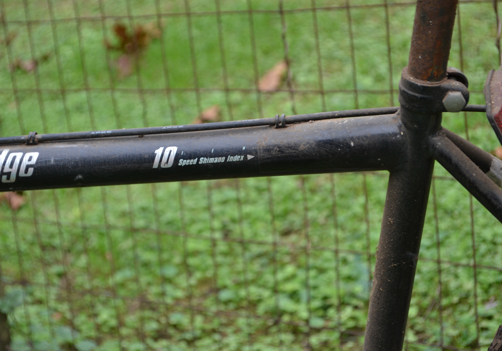 Magna Northern Ridge 10Speed Bicycle EBTH