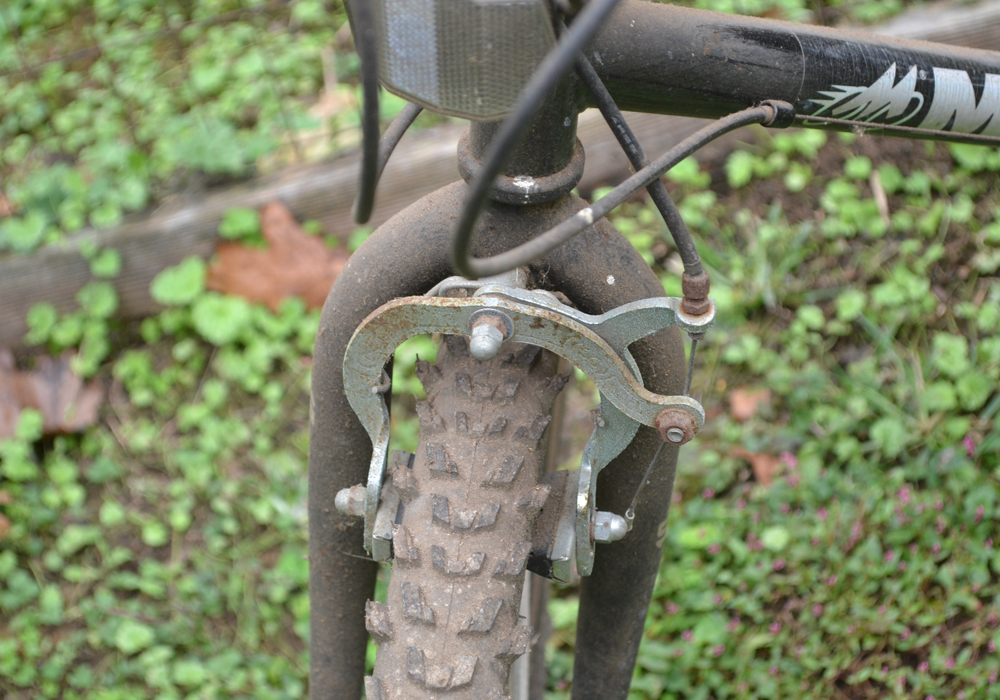 Magna Northern Ridge 10Speed Bicycle EBTH