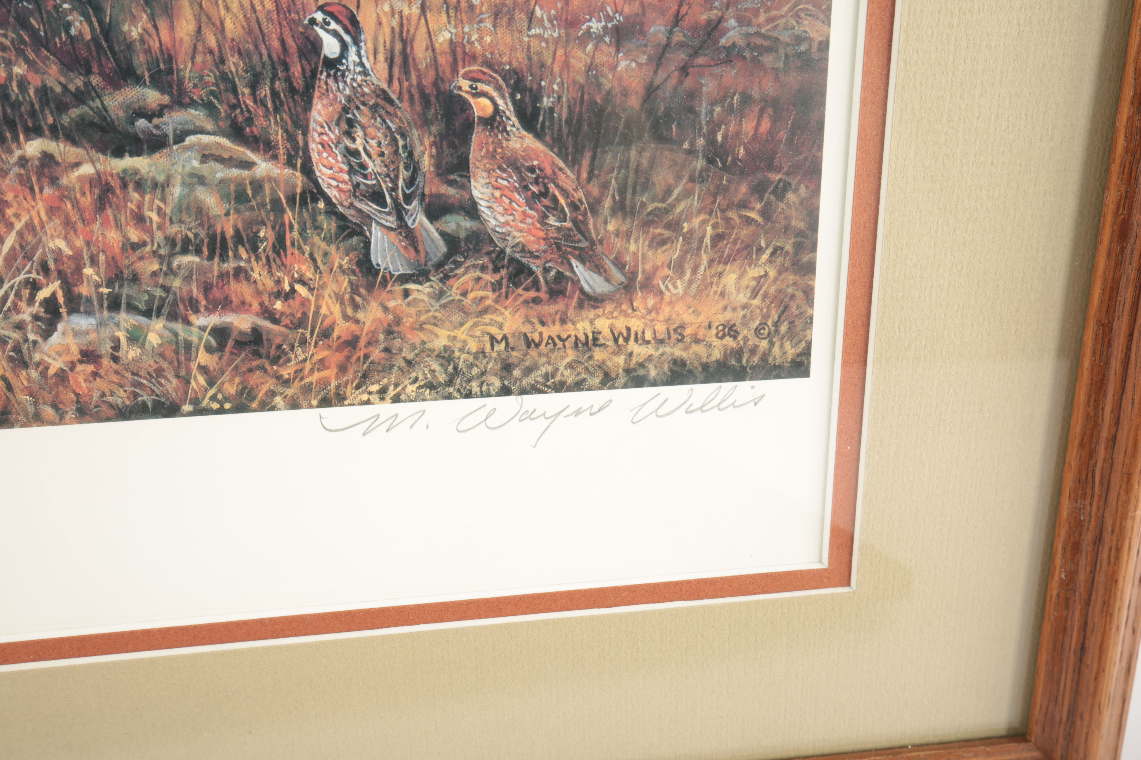 M. Wayne Willis Signed. Limited Edition Wildlife Prints EBTH