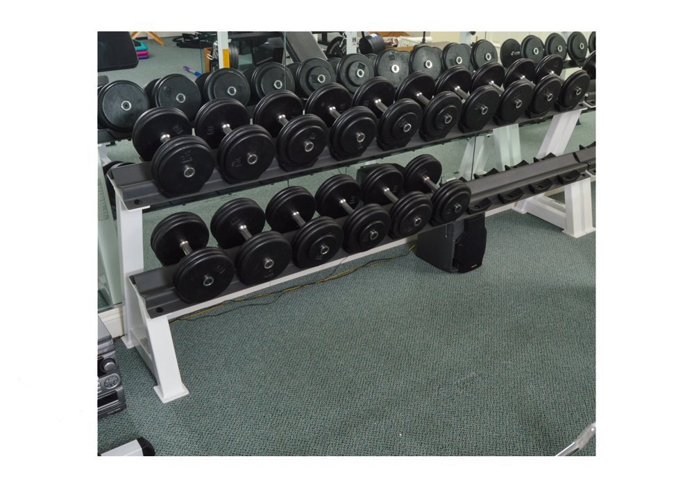 Hoist Fitness system, 2 tier dumbbell rack, 16 piece system EBTH